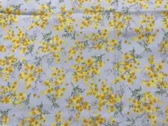 Item thumbnail for item 13deb9a6-614f-45d8-b06d-a5114bc51131