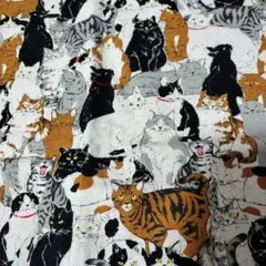 猫総柄　オックス生地　110巾✕50cm