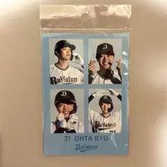 太田椋　フォト