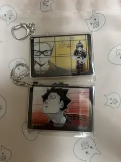 ハイキュー‼︎ アクキー ファンパーク