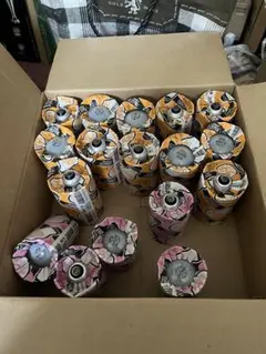 シリカ電球100Wホワイト12個+20W 5個