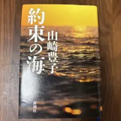 約束の海 山崎豊子