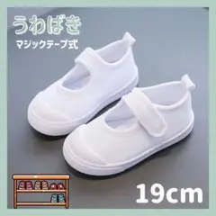 上履き 子供用 19cm 白 マジックテープ式 うわばき 入園 入学