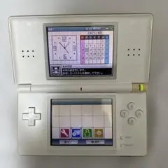 Nintendo DS Lite ホワイト 本体 充電器