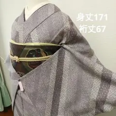紫系 ドット・梅・七宝・唐草・斜め縞 小紋 袷 正絹 トールサイズ