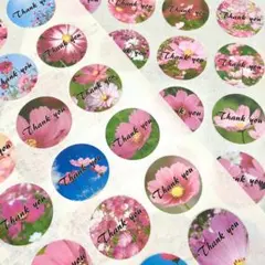 サンキューシール 秋桜(大)『Thank you』