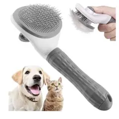 Item thumbnail for item fd99baaa-1ccd-44e0-9d9e-3aa38f8957b7
