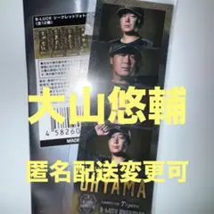 【大山 悠輔】B-LUCK フォトグレイ