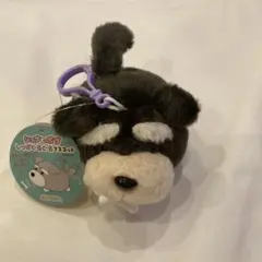 AMUFUN シュナとボブ　しっぽぐるぐるマスコット