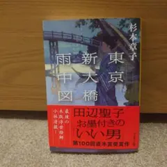 東京新大橋雨中図