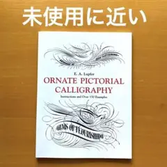 Ornate Pictorial Calligraphy