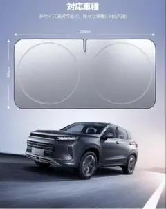 Item thumbnail for item be89c6fa-73d8-447e-bdc6-a24c5f933447