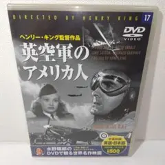 英空軍のアメリカ人 DVD 17