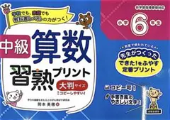 中級算数習熟プリント 大判サイズ（今日明日限定）