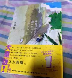 ここで唐揚げ弁当を食べないでください 小原晩