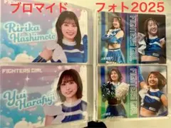 【ファイターズガールグッズ2025/2024】