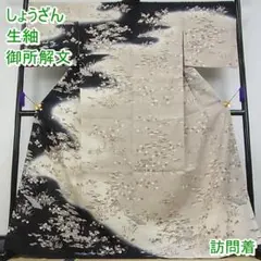 期間限定セール30%off染織の名門 しょうざん 生紬 訪問着m-2s10378