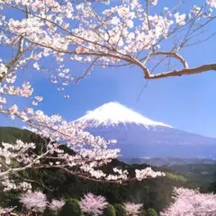 【 富士山 】 写真集