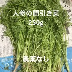 人参の葉 250g