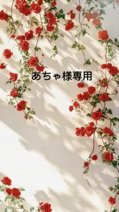 あちゃ様一枚