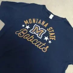 フルーツオブザルーム モンタナ州立大 半袖Tシャツ サイズXL ネイビー