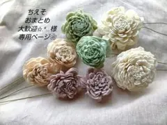 ちえそ おまとめ大歓迎✩.*…❀他の方はご遠慮くださいね❀