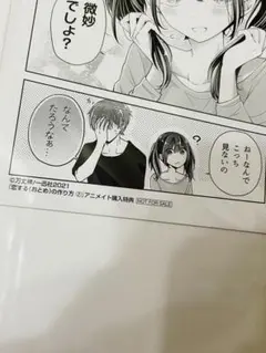 恋する(おとめ)の作り方 2巻　イラストカード　ポストカード　特典 アニメイト