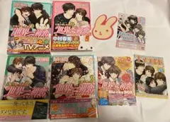 【全て初版 帯付き】世界一初恋 まとめ売り ペーパー チラシ