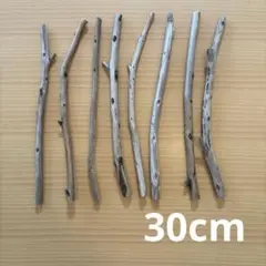 Item thumbnail for item ae7eade7-26cd-481d-8e99-93a7f21b63c2