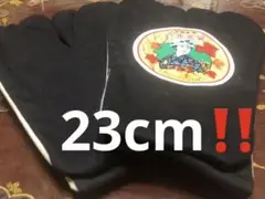 Item thumbnail for item 7606239c-bddf-466b-b9d7-da9699e6c418