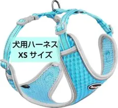 Item thumbnail for item a9421557-fddf-4789-acf8-52a6a6368ffc