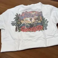 平井大　Tシャツ　POPUP 2025 XL