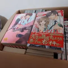 放課後発情期。先生とイケナイH