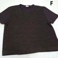 DELFINI ダークブラウン 半袖Tシャツ 袖切り替え F