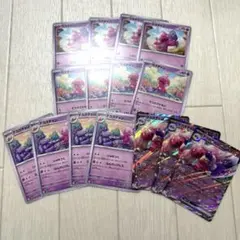＊カヌチャン８枚(絵柄違いあり) ＊ナカヌチャン４枚 ＊デカヌチャンex３枚