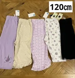Item thumbnail for item 020f053f-a612-4e67-b3aa-f3c22c7a1350
