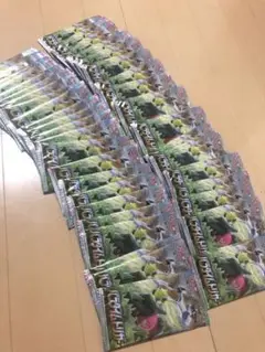 パラダイムトリガー 46パック