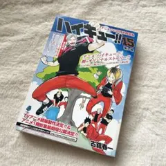 ハイキュー!! 15 アニメDVD付き予約限定版