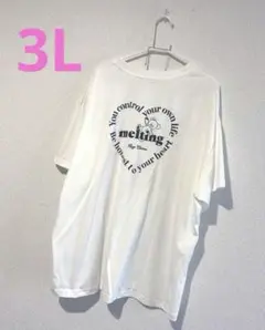 大きいサイズ 新品 訳あり くまプリント Tシャツ 3L