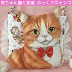 赤ちゃん猫と友達ビッグ綿入りニャンコ　大きめサコッシュ　コヤンイサムチョン