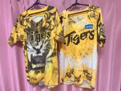 Item thumbnail for item 6461616f-f16f-43ce-931c-6a84de1aba57