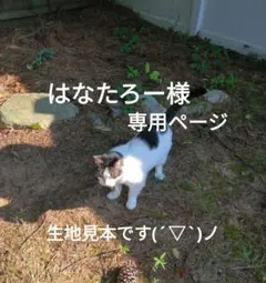 ☆はなたろー様ご確認ページ☆