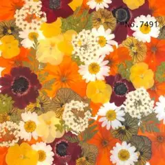 ♡new♡ ♡訳ありの押し花！大容量セット♡