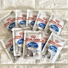 Item thumbnail for item 67db4159-3504-4d02-ba01-053a7189f36b