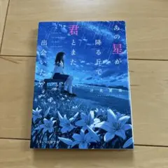 あの星が降る丘で、君とまた出会いたい。