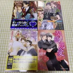 BL小説 4冊 まとめ売り