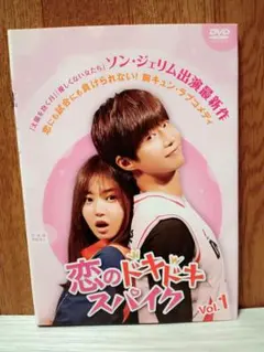恋のドキドキ・スパイク　韓国ドラマ　DVD　全巻