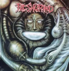 Fleshgrind nyhc metalcore