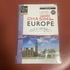 ヨーロッパ用SIMカード 12GB 30日用