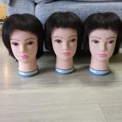 Item thumbnail for item 04b5d378-d135-44a0-a5d8-5291a6619efb